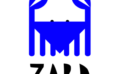 Laboratorul de artă conceptuală pentru copii și preadolescenți „ZARD ART LAB”