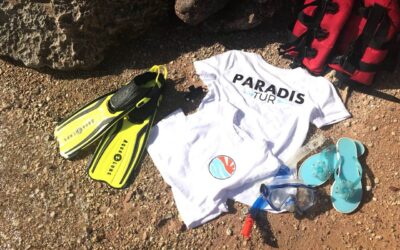 Ofertă EGIPT de la „Paradis TUR”