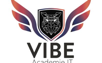 Vibe.MD – Academie ᴵᵀ