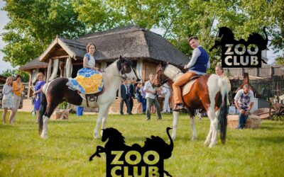 Plimbări cu caii,ZooClub