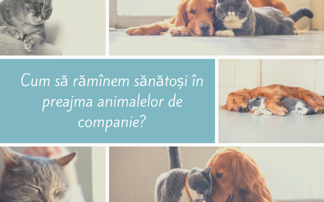 Cum să rămîi sănătos în preajma animalului de companie