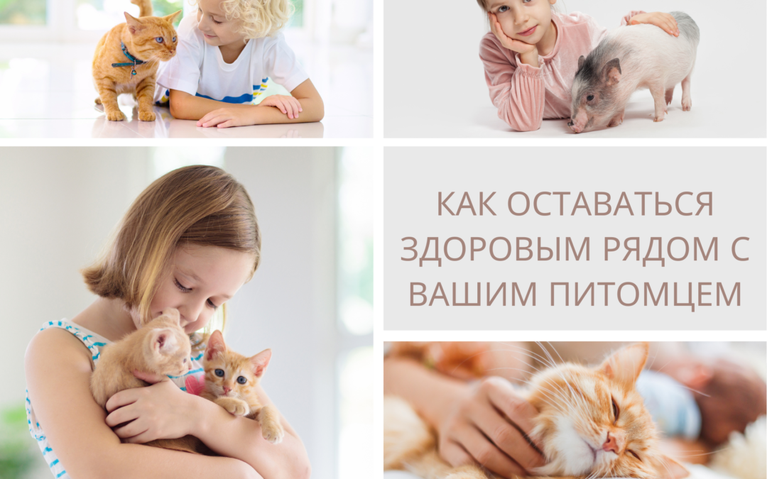 Как оставаться здоровым рядом с вашим питомцем