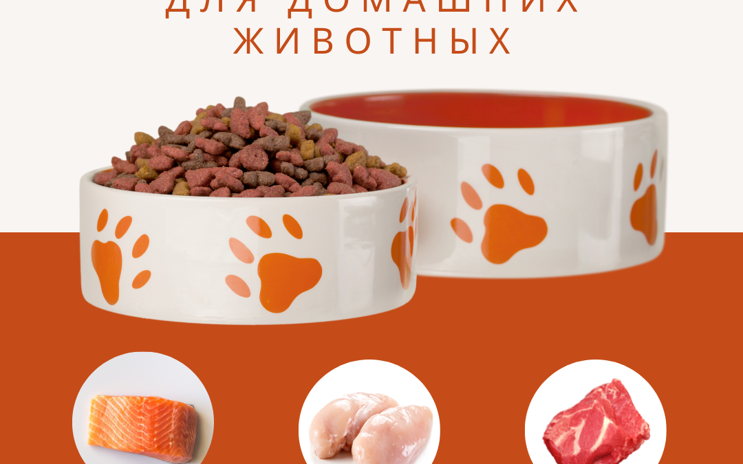 Безопасность пищевых продуктов для домашних животных