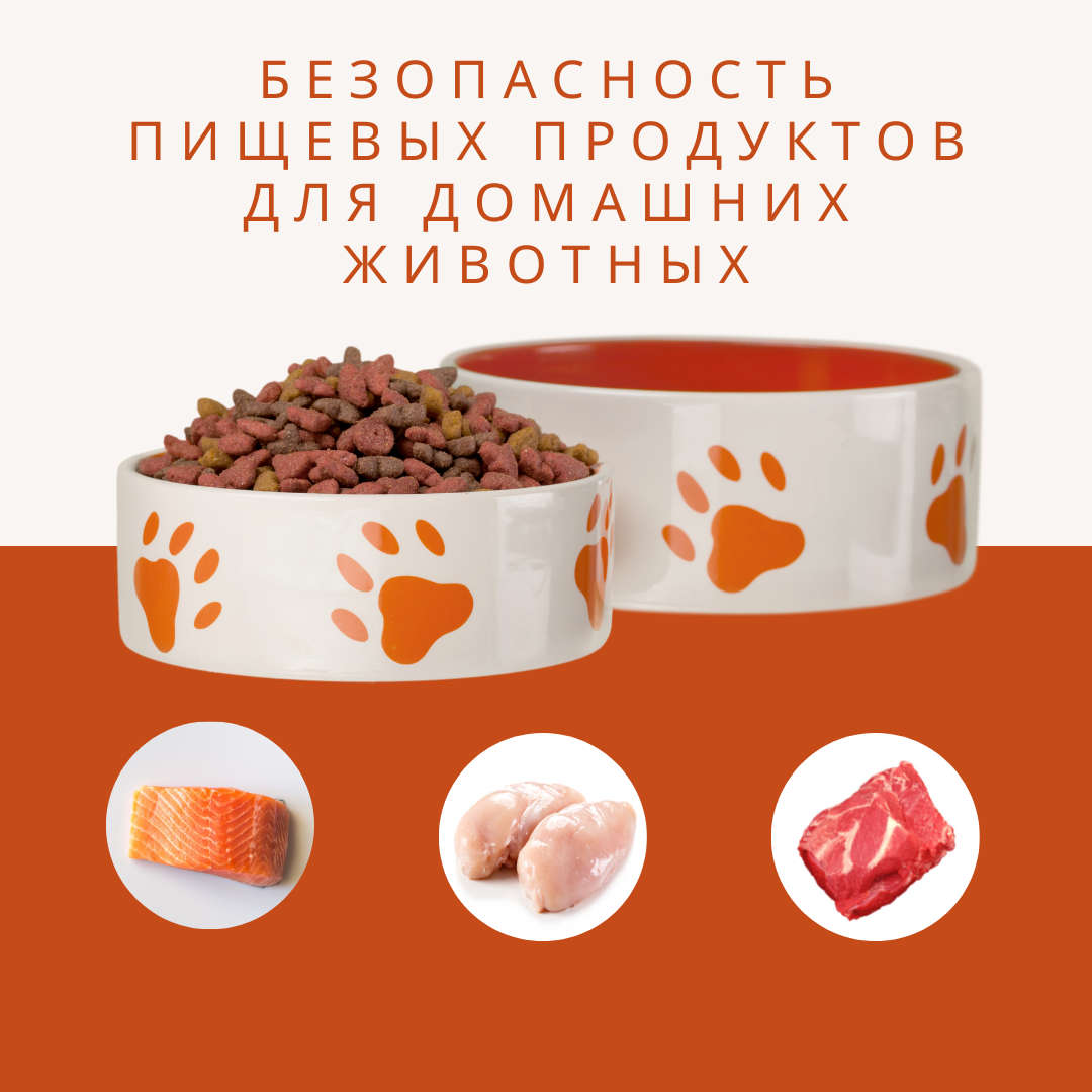 Безопасность пищевых продуктов для домашних животных
