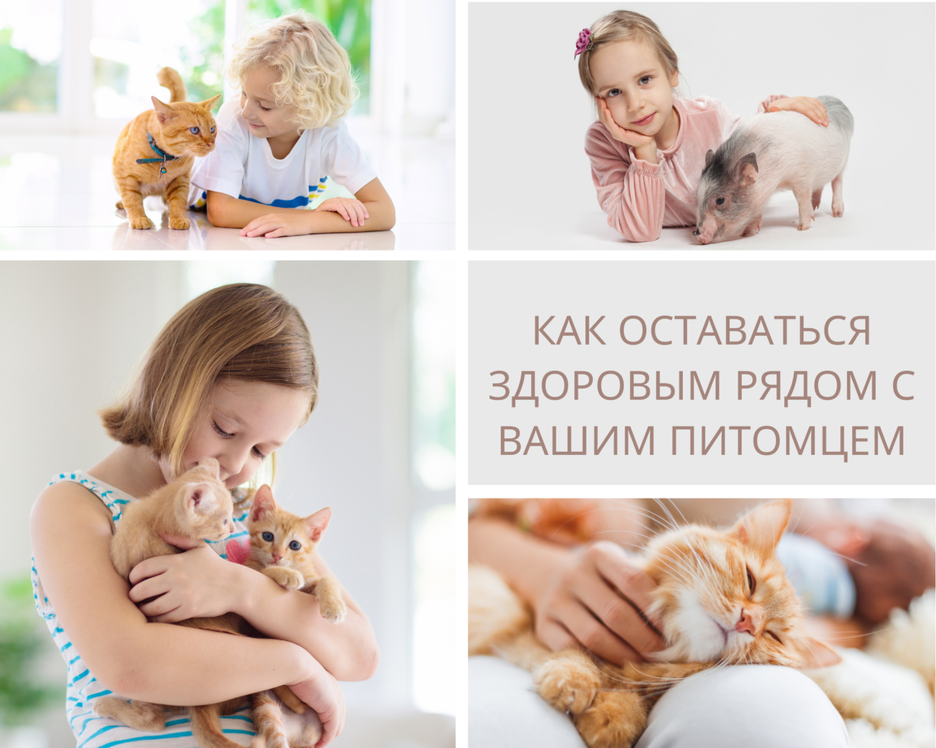 Как оставаться здоровым рядом с вашим питомцем